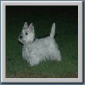 teddy720052.jpg